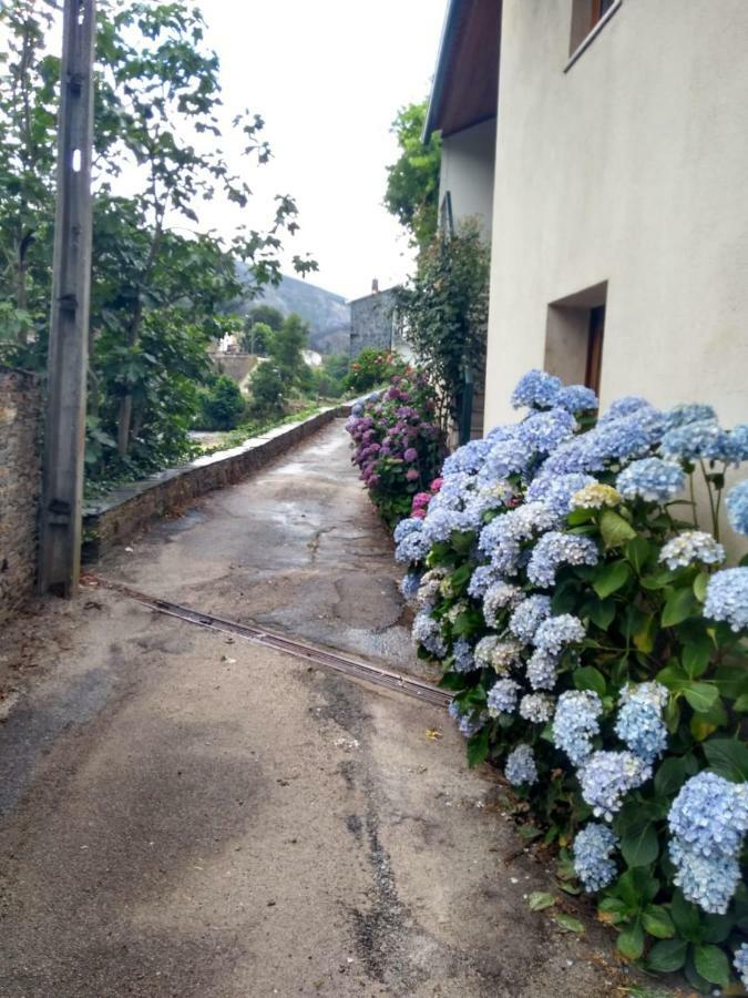 Vila Casa D.Dinis Vide Exteriér fotografie